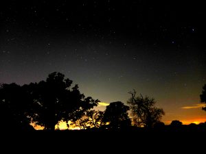 Looking west after sunset, towards Corona Borealis and Bootes