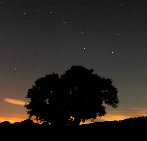 The Plough (Ursa Major)