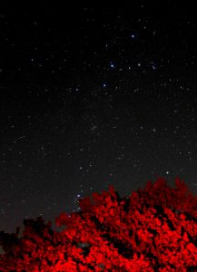 Perseus trailing from Cassiopeia down towards the tree