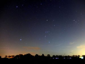 The Winter constellations Canis Major, Orion and Taurus