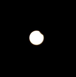 Pic 8 - First contact at 11.54am