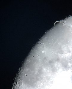 Sinus iridum (photo by Cath Adams)