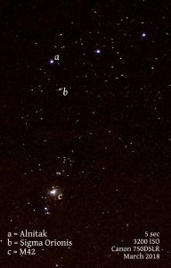 Orion
