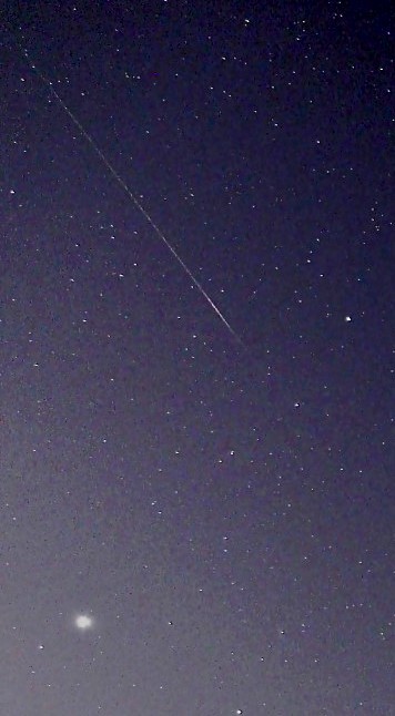Perseid (Photo by Doug Bickley)