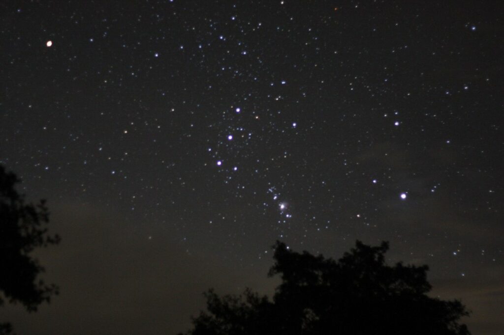 Orion